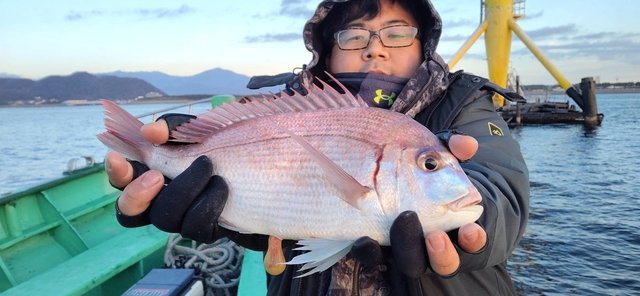 ハナダイ(チダイ)