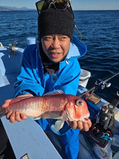 アマダイ(アカアマダイ)