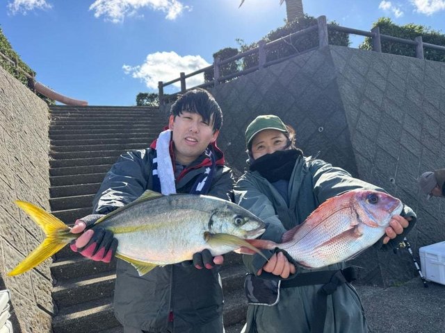 マダイ・シマアジ