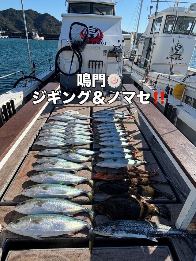 ブリ・サワラ・マゴチ・ヒラメ