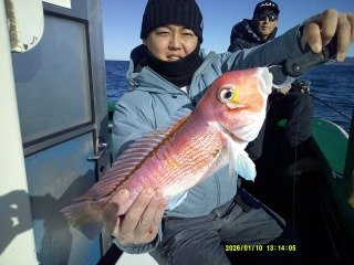 アマダイ(アカアマダイ)