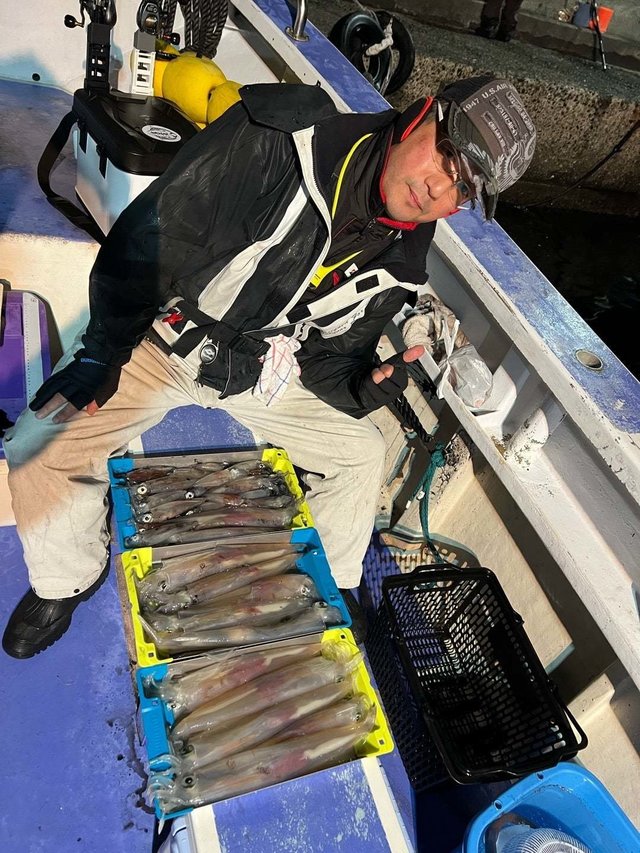 マルイカ(ケンサキイカ)・ヤリイカ