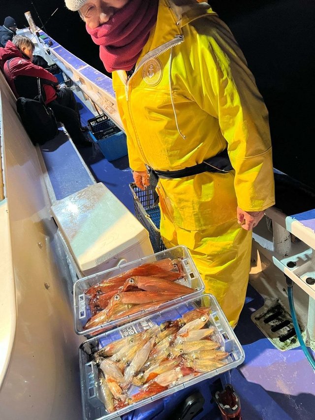 マルイカ(ケンサキイカ)・ヤリイカ