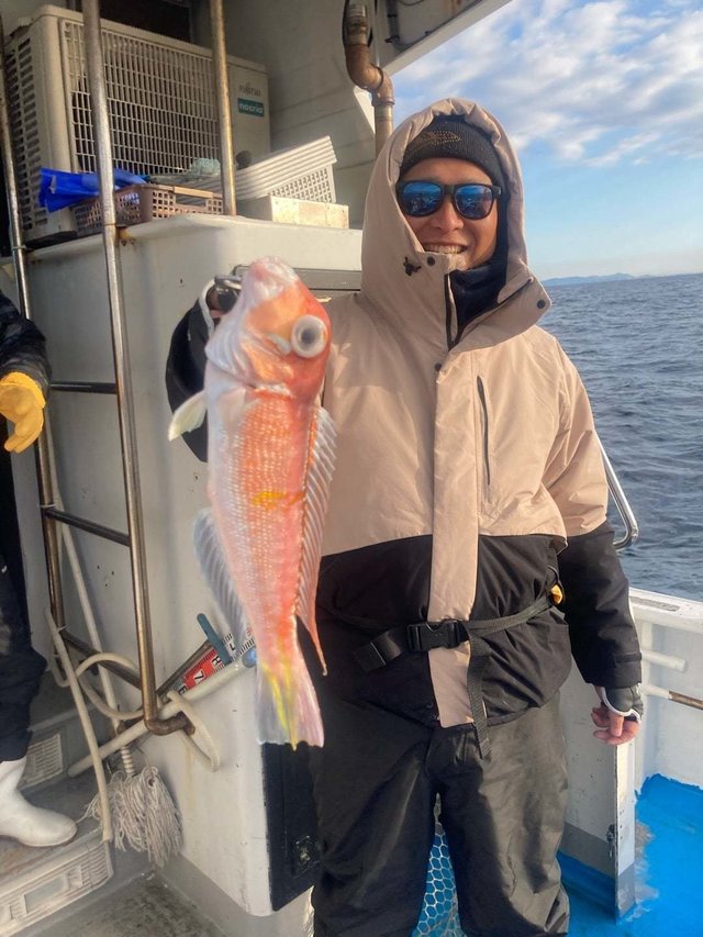 アマダイ(アカアマダイ)