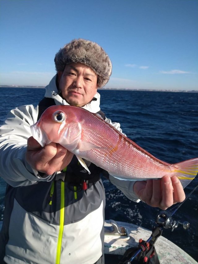 アマダイ(アカアマダイ)