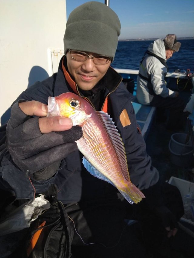 アマダイ(アカアマダイ)