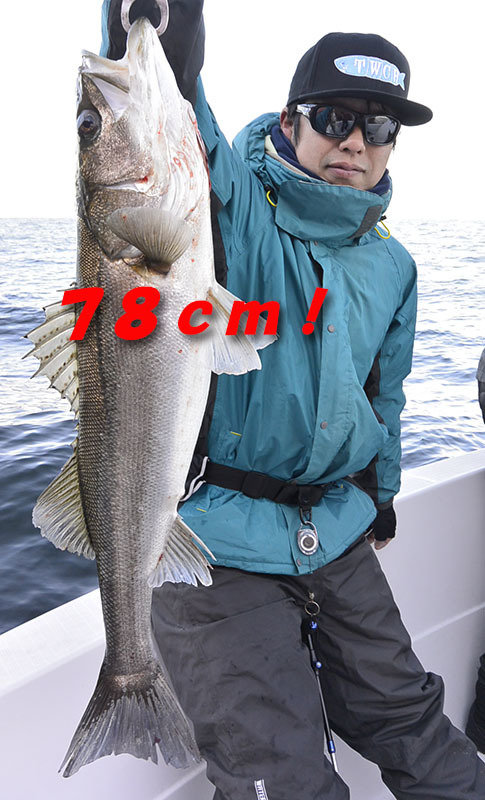 シーバス(スズキ)