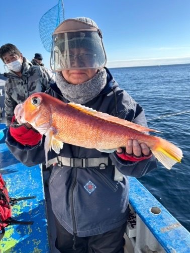 アマダイ(アカアマダイ)