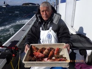 カサゴ