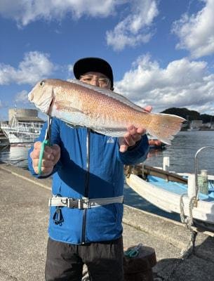 シロアマダイ