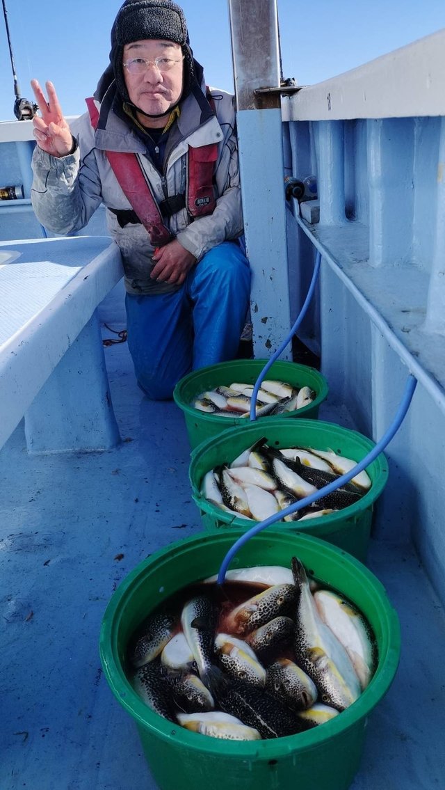 ショウサイフグ