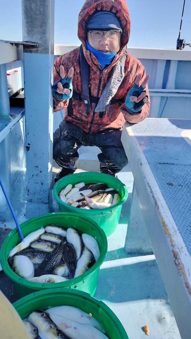 ショウサイフグ