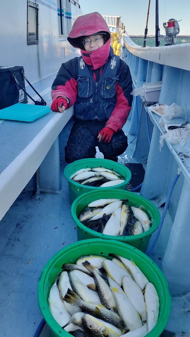 ショウサイフグ