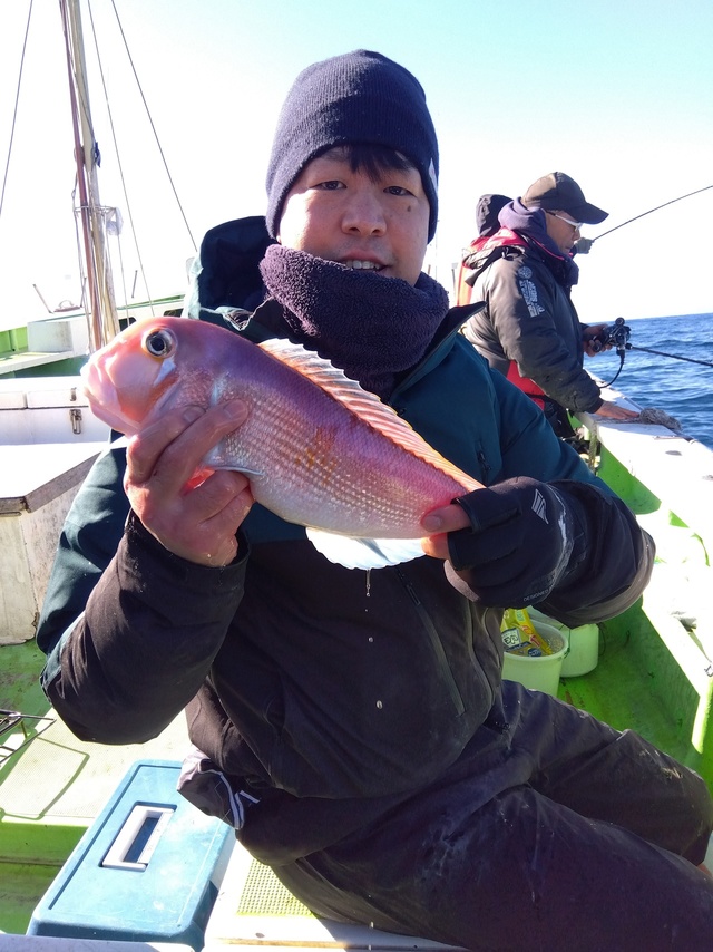 アマダイ(アカアマダイ)