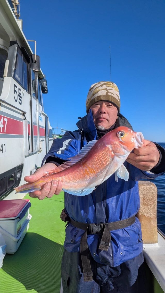 アマダイ(アカアマダイ)