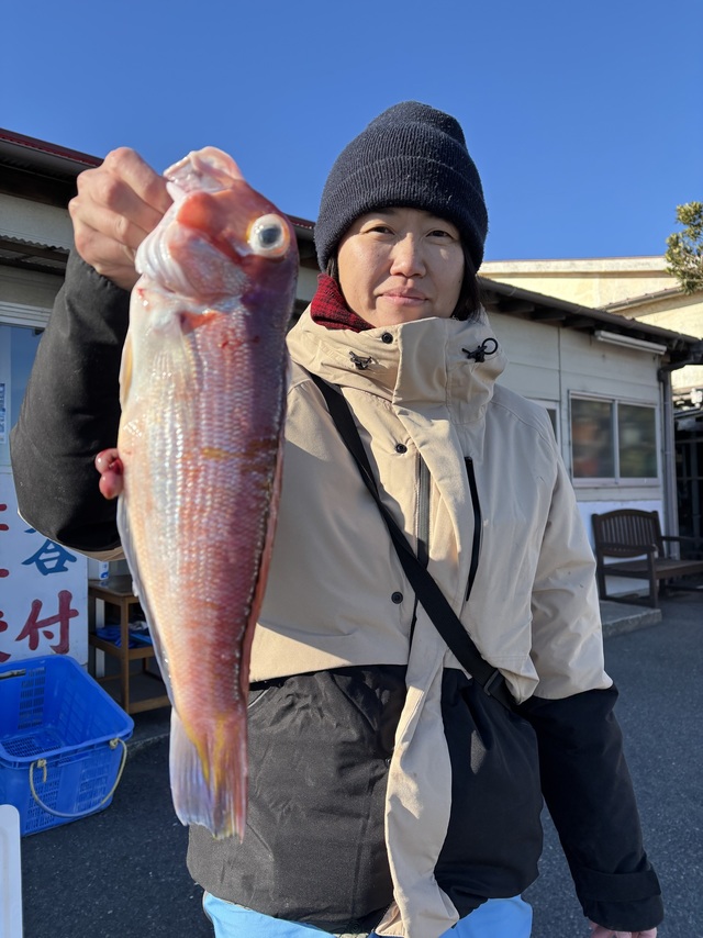 アマダイ(アカアマダイ)