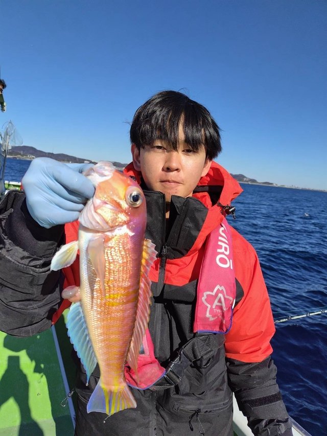 アマダイ(アカアマダイ)