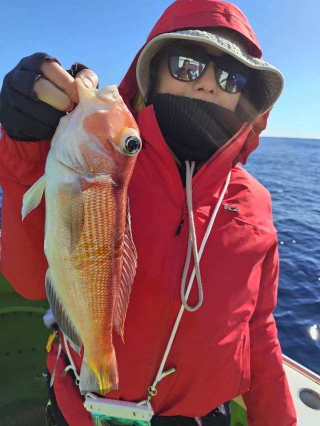 アマダイ(アカアマダイ)