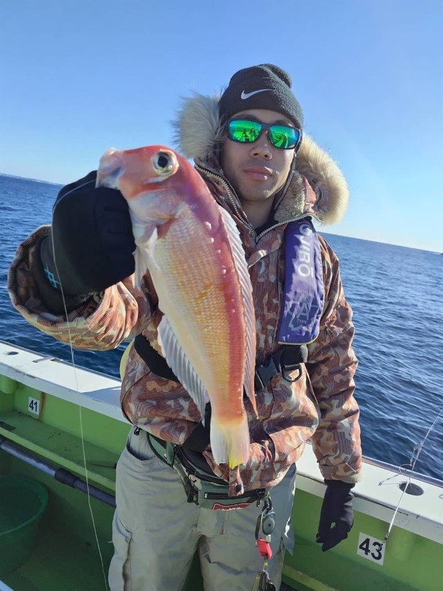 アマダイ(アカアマダイ)