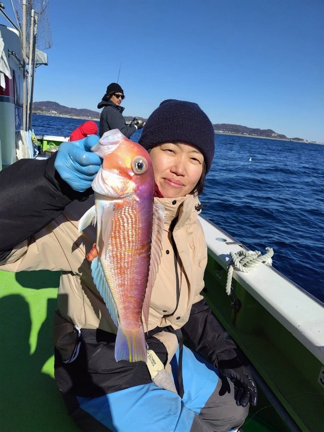 アマダイ(アカアマダイ)