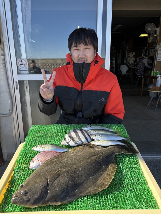 アジ(マアジ)・ヒラメ