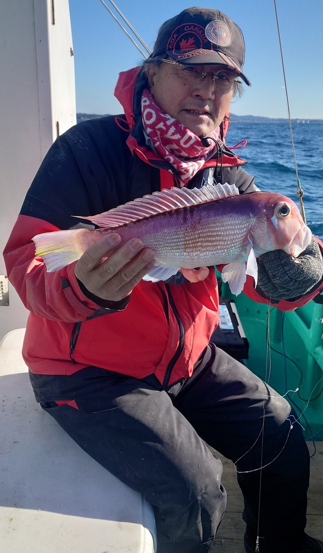 アマダイ(アカアマダイ)