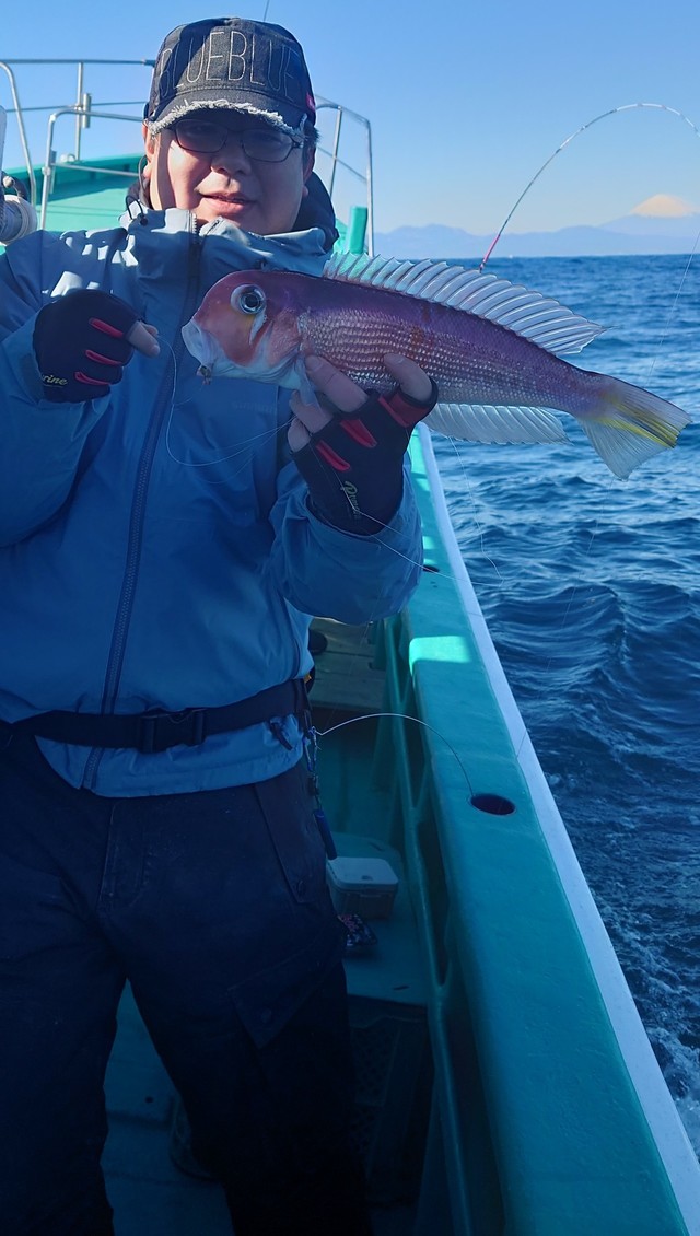 アマダイ(アカアマダイ)