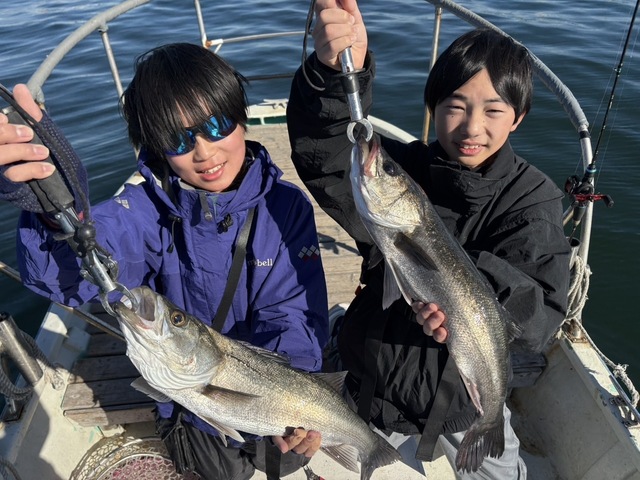 シーバス(スズキ)