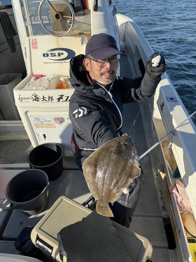 カレイ(マコガレイ)