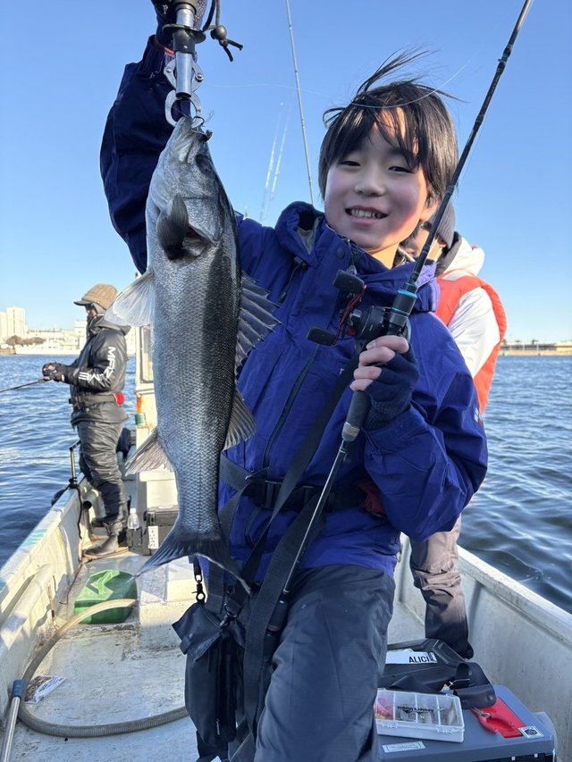 シーバス(スズキ)