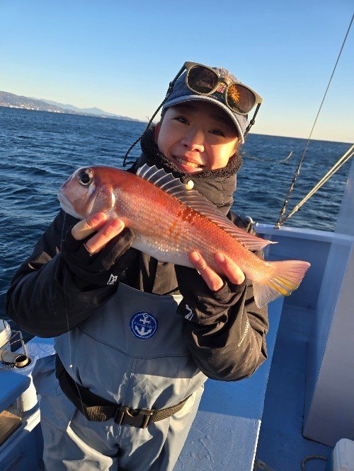 アマダイ(アカアマダイ)