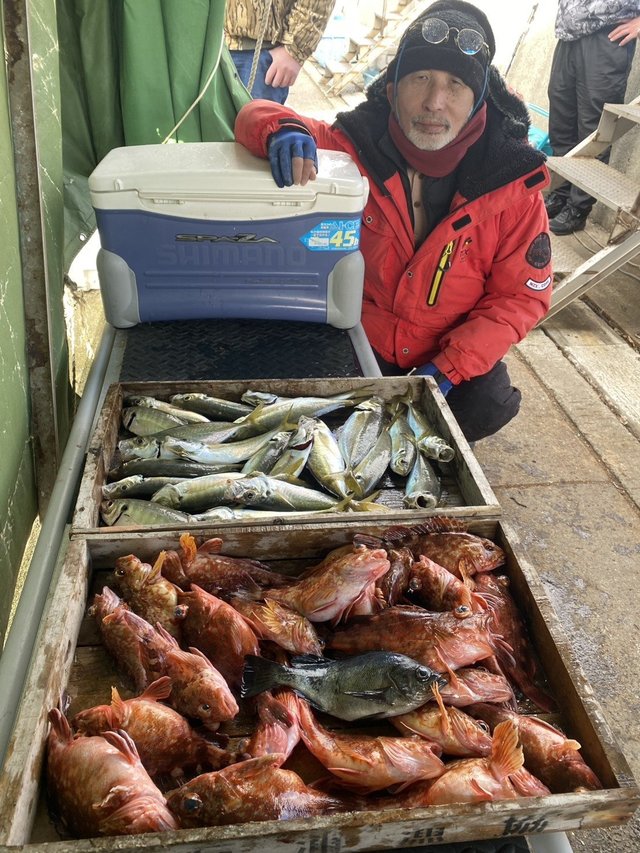 マアジ・ガシラ(カサゴ)・メバル