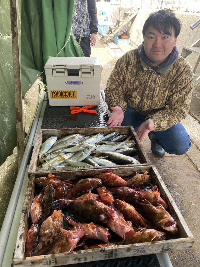 マアジ・ガシラ(カサゴ)・メバル