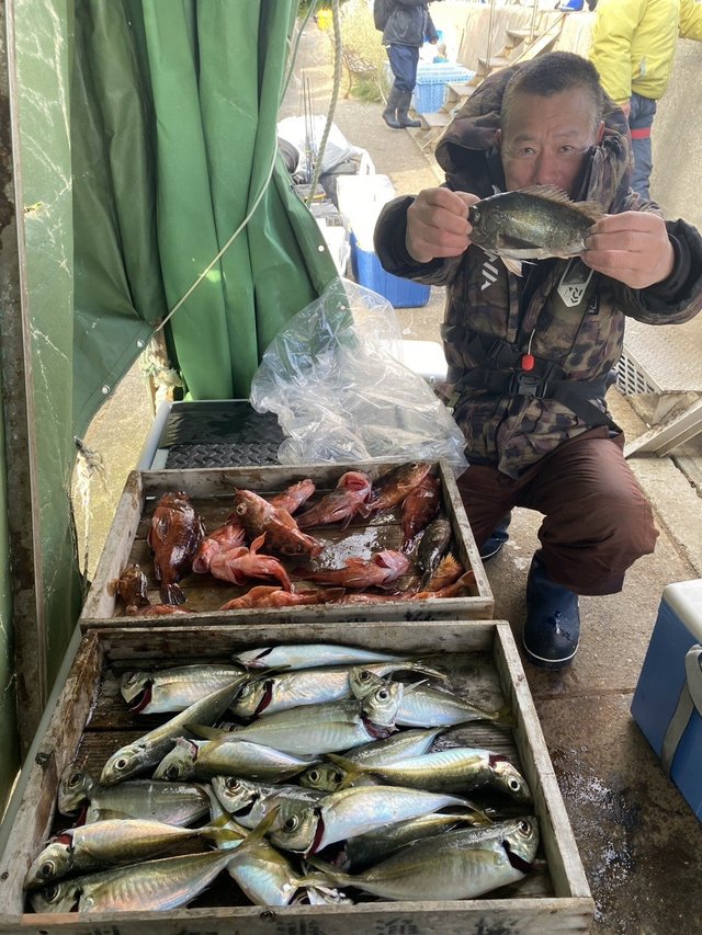 マアジ・ガシラ(カサゴ)・メバル