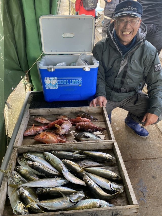 マアジ・ガシラ(カサゴ)・メバル