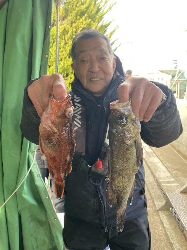 ガシラ(カサゴ)