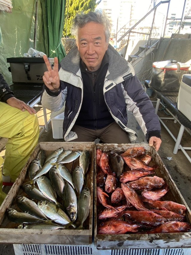 マアジ・ガシラ(カサゴ)