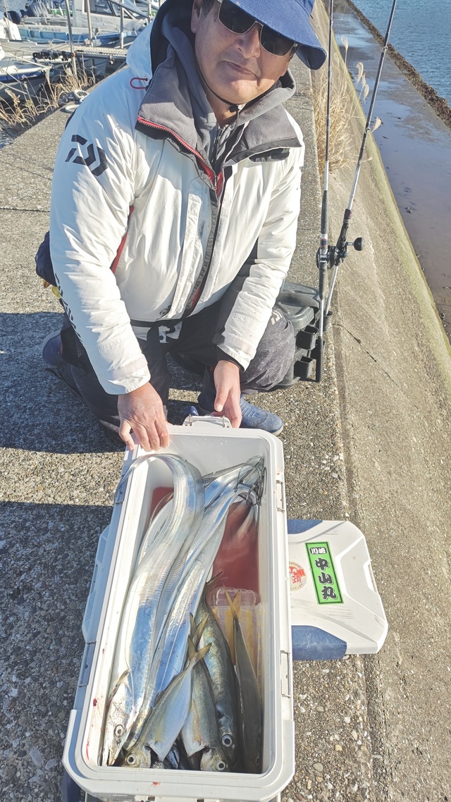 アジ(マアジ)・タチウオ