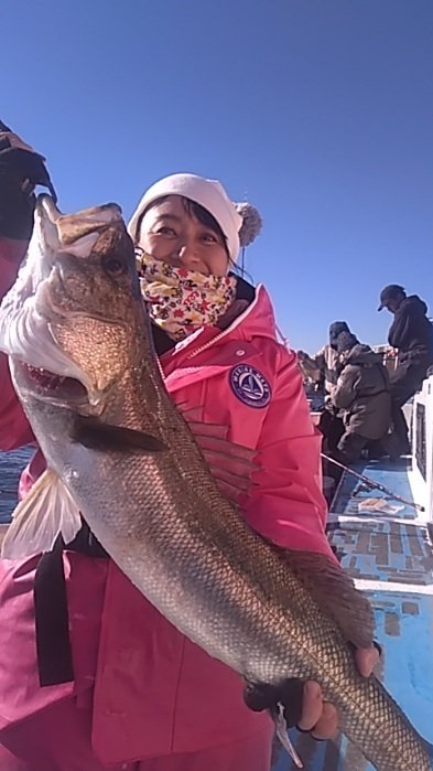 シーバス(スズキ)