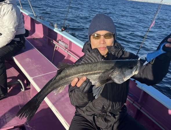 シーバス(スズキ)