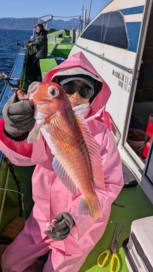 アマダイ(アカアマダイ)