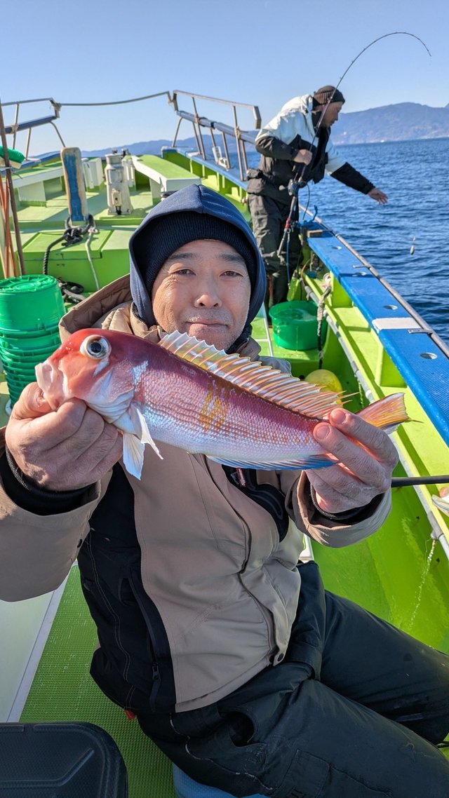 アマダイ(アカアマダイ)