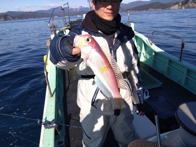 アマダイ(アカアマダイ)