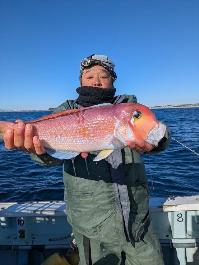 アマダイ(アカアマダイ)