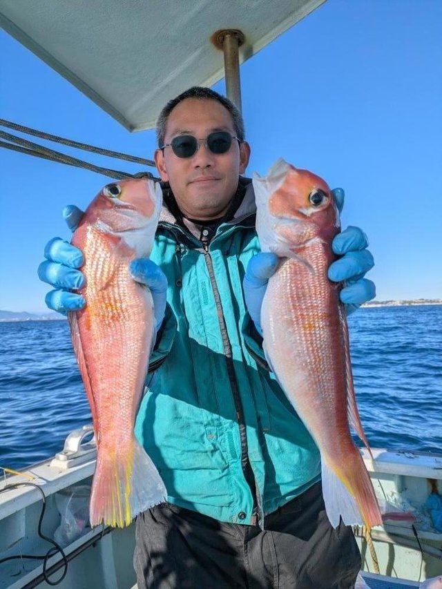 アマダイ(アカアマダイ)