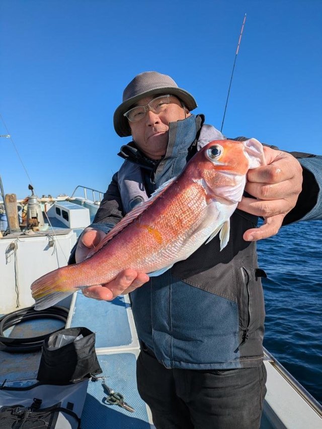 アマダイ(アカアマダイ)