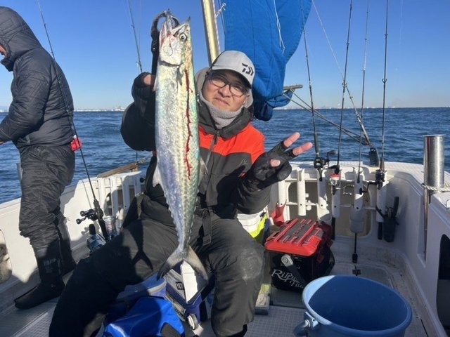 サゴシ(サワラ)