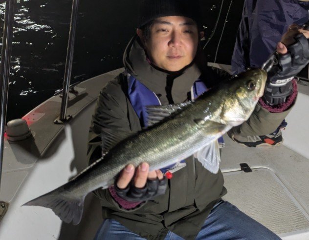 シーバス(スズキ)