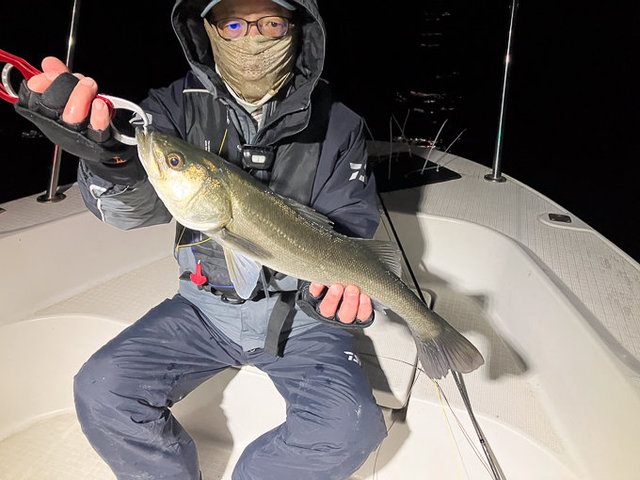 シーバス(スズキ)