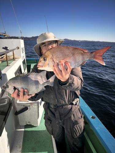 マダイ・イシダイ